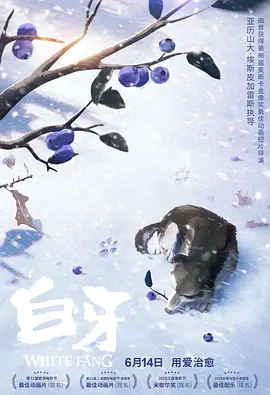 福利视频一区二区