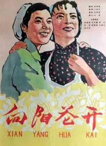 免费国产之a视频