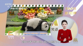 国产精品女同久久久久电影院